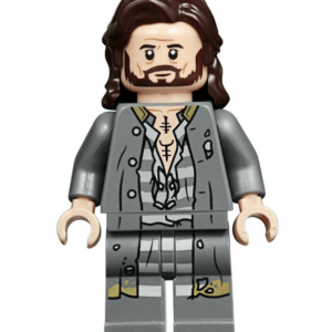 "LEGO Harry Potter Sirius Black Minifigure detail"